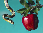 Snake and Apple